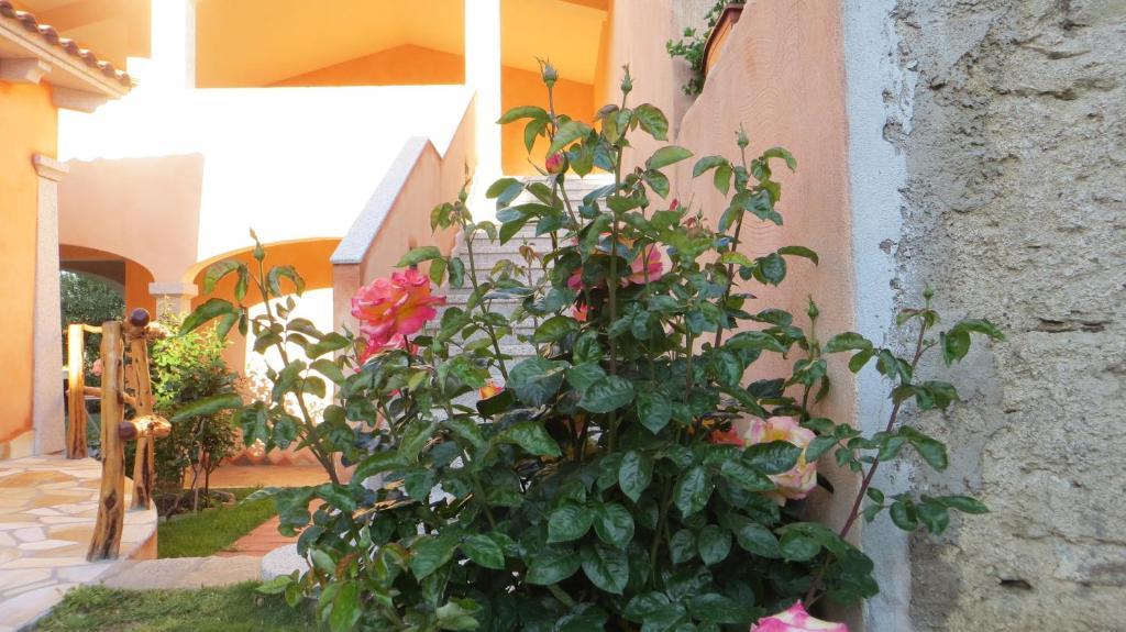 Il Viandante Hotell San Teodoro  Exteriör bild