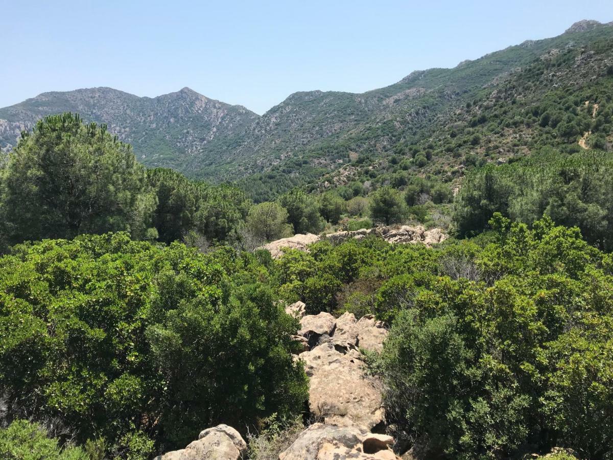Il Viandante Hotell San Teodoro  Exteriör bild